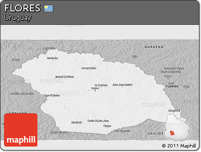 Gray Panoramic Map of FLORES