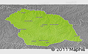 Physical Panoramic Map of FLORES, desaturated