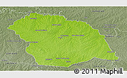 Physical Panoramic Map of FLORES, semi-desaturated