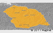 Political Panoramic Map of FLORES, desaturated