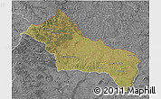 Satellite 3D Map of RIVERA, desaturated