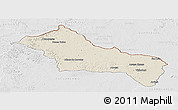 Shaded Relief Panoramic Map of RIVERA, lighten, desaturated