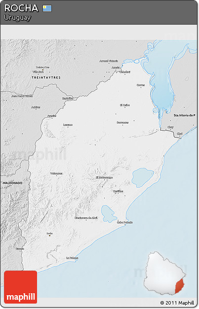 Silver Style 3D Map of ROCHA