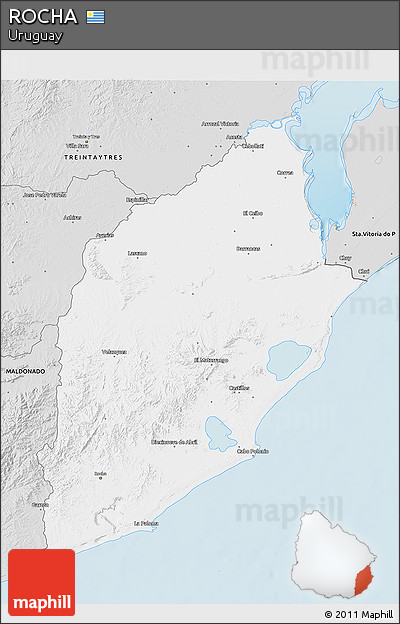 Silver Style 3D Map of ROCHA