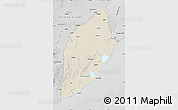 Shaded Relief Map of ROCHA, desaturated