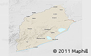 Shaded Relief Panoramic Map of ROCHA, lighten, desaturated