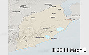 Shaded Relief Panoramic Map of ROCHA, semi-desaturated