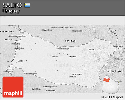 Silver Style 3D Map of SALTO