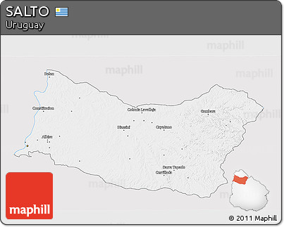Silver Style 3D Map of SALTO, single color outside