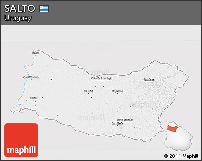 Silver Style 3D Map of SALTO, single color outside