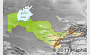Physical 3D Map of Uzbekistan, desaturated