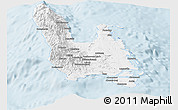 Silver Style Panoramic Map of Sanma