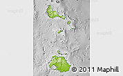 Physical Map of Shefa, desaturated