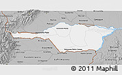 Gray 3D Map of Apure