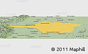 Savanna Style Panoramic Map of Apure