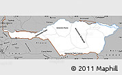 Gray Simple Map of Apure