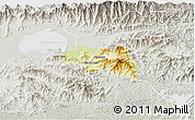 Physical 3D Map of Zamora, lighten, semi-desaturated