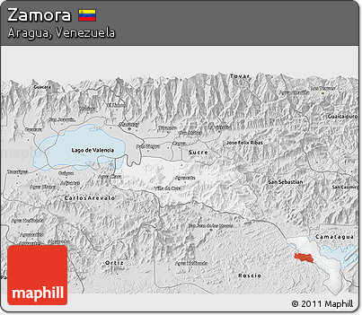 Silver Style 3D Map of Zamora