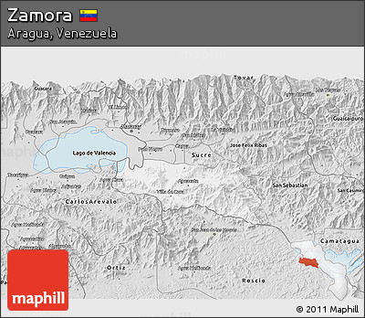 Silver Style 3D Map of Zamora
