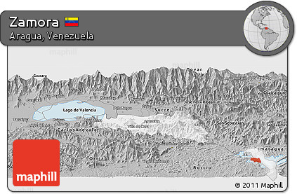 Gray Panoramic Map of Zamora