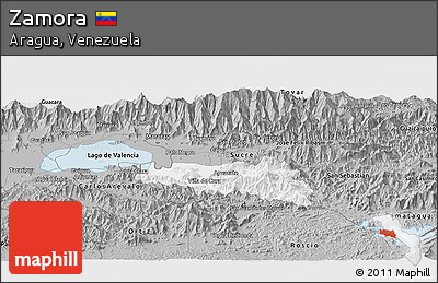 Gray Panoramic Map of Zamora