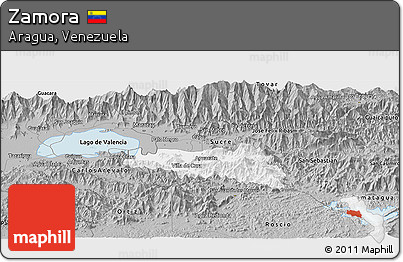 Gray Panoramic Map of Zamora