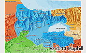 Political Shades 3D Map of Carabobo