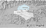 Gray 3D Map of Carlos Arevalo
