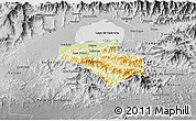 Physical 3D Map of Carlos Arevalo, desaturated