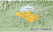 Savanna Style 3D Map of Carlos Arevalo