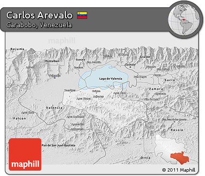 Silver Style 3D Map of Carlos Arevalo