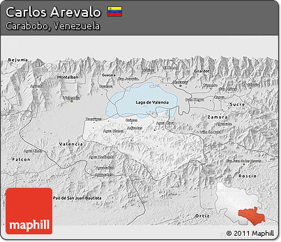 Silver Style 3D Map of Carlos Arevalo