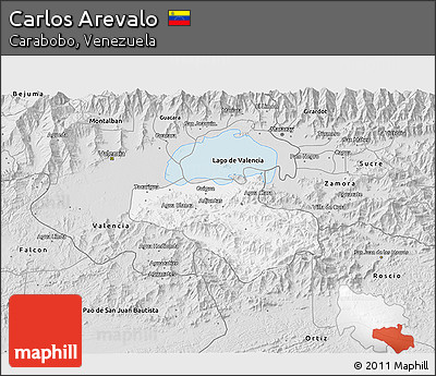 Silver Style 3D Map of Carlos Arevalo