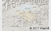 Shaded Relief Map of Carlos Arevalo, semi-desaturated