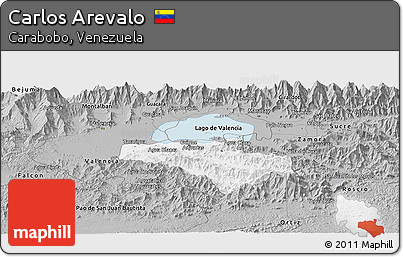 Gray Panoramic Map of Carlos Arevalo
