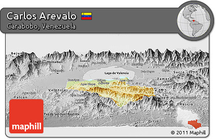 Physical Panoramic Map of Carlos Arevalo, desaturated