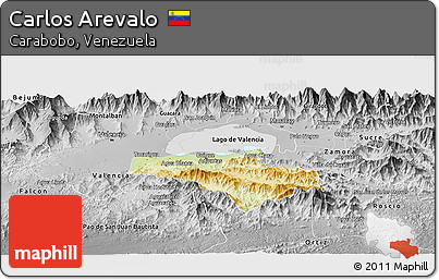 Physical Panoramic Map of Carlos Arevalo, desaturated