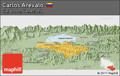 Savanna Style Panoramic Map of Carlos Arevalo