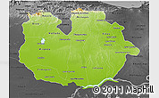 Physical 3D Map of Guarico, darken, desaturated