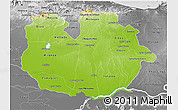 Physical 3D Map of Guarico, desaturated