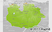 Physical 3D Map of Guarico, lighten, desaturated