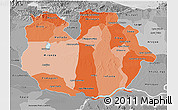 Political Shades 3D Map of Guarico, desaturated