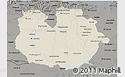 Shaded Relief 3D Map of Guarico, darken, semi-desaturated