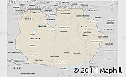 Shaded Relief 3D Map of Guarico, desaturated