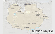 Shaded Relief 3D Map of Guarico, lighten, semi-desaturated