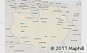 Shaded Relief 3D Map of Guarico, semi-desaturated