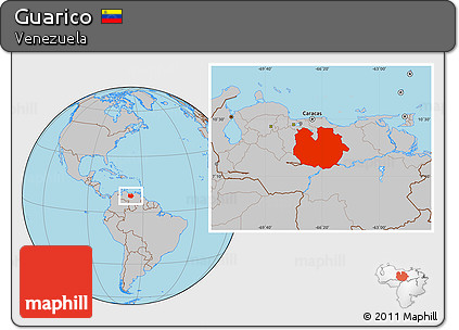 Gray Location Map of Guarico