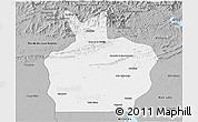 Gray 3D Map of Ortiz