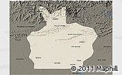 Shaded Relief 3D Map of Ortiz, darken