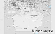 Silver Style 3D Map of Ortiz